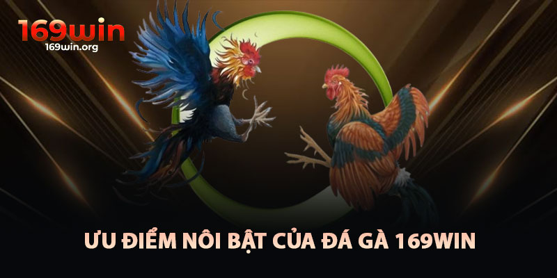 Ưu Điểm Nổi Bật Của Đá Gà 169win