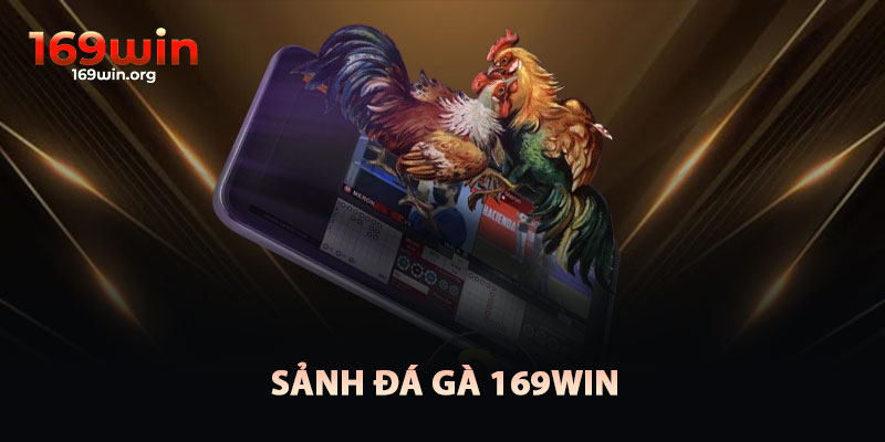 Sảnh Đá Gà 169win